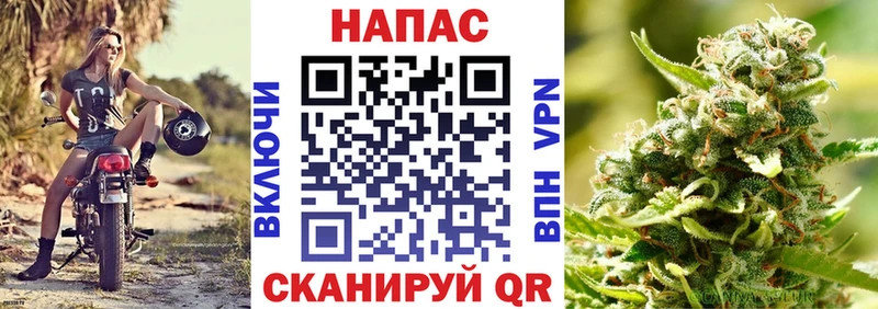 Канабис индика  Купить где  Ядрин 